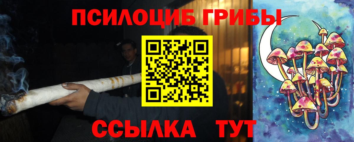Галлюциногенные грибы GOLDEN TEACHER Великий Новгород