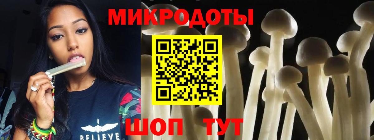 Великий Новгород  Псилоцибиновые грибы ЛСД  Вход с VPN 